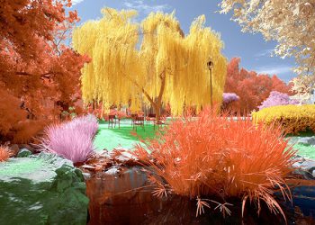 Eagles or Pats fans:?Top places to watch Super Bowl LII at the beach