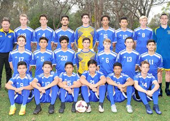 A deep dive for beer and pizza