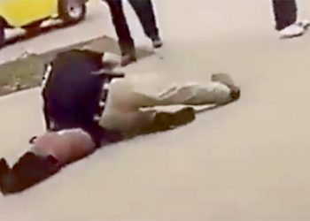 A deep dive for beer and pizza