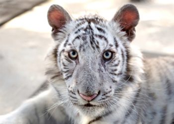 Letters to the Editor: February 2018