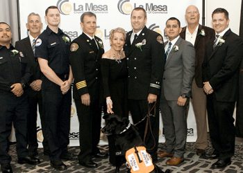 Architectural design and history