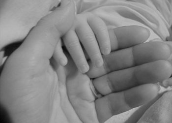 Letter to editor: Homeless may have the solution to homeless in OB