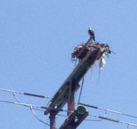 News and notes from your County Supervisor