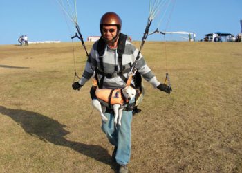 Lifeguards claim union reps strong-arm votes