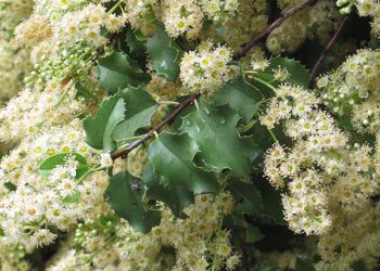 Climate action focus of next meeting