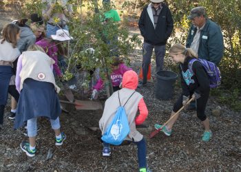 News from the Allied Gardens/Grantville Community Council – Dec. 16