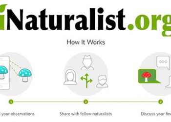 Navajo Planners elections bring new members and new officers