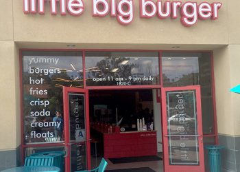 iNaturalist Observation of the Month: Mealy Pixie Cup Lichen