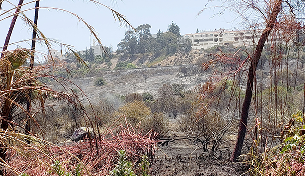 Firefighters save Del Cerro from Adobe Fire