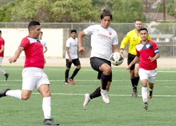 Why libraries will always be relevant