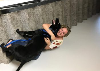 The best seat in the house