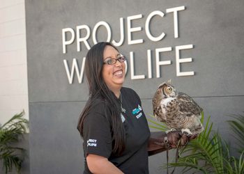 San Diego Junior Theatre parent accuses city attorney of misconduct