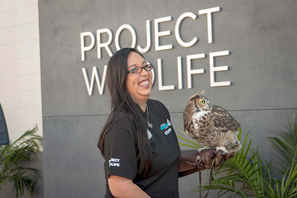 Wildwatch Burrowing Owl invites the public to help with wildlife research
