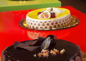 Nonprofit sector holds mayoral forum