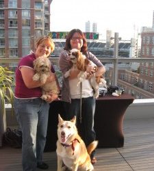 Two St. Patrick’s Day festivals return to San Diego