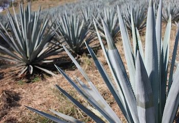 Changing consciousness