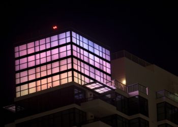 World Harmony comes to City Hall