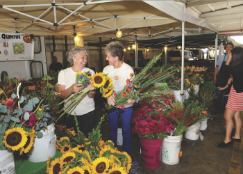 Downtown San Diego Partnership to hold workshops on neighborhood planning, future of Downtown