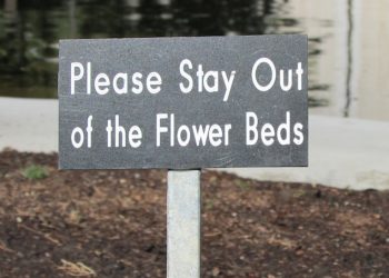 Tax deadlines are real