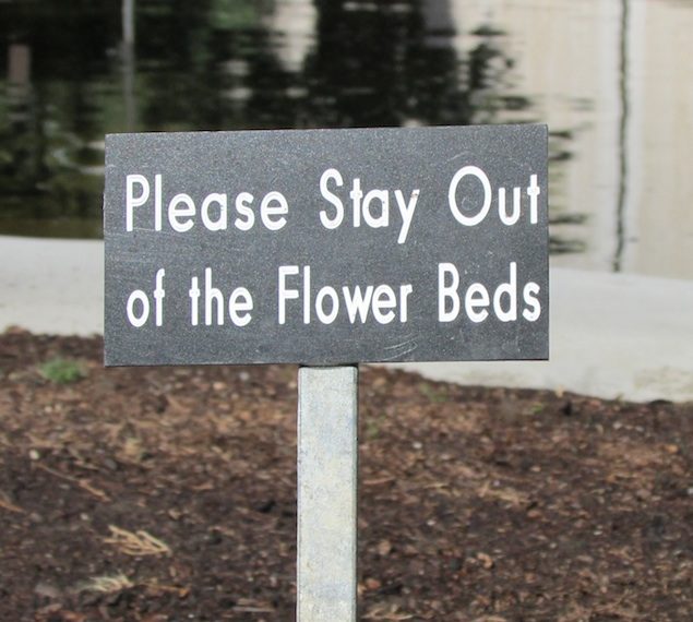 Community celebrates lily pond reopening