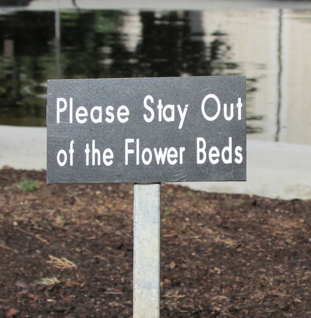 Community celebrates lily pond reopening