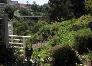 Earth Day returns to San Diego