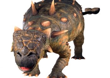 North Park Festival of the Arts