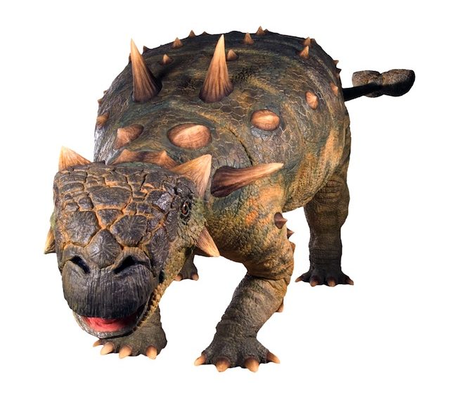 Exploring Balboa Park - May 2013