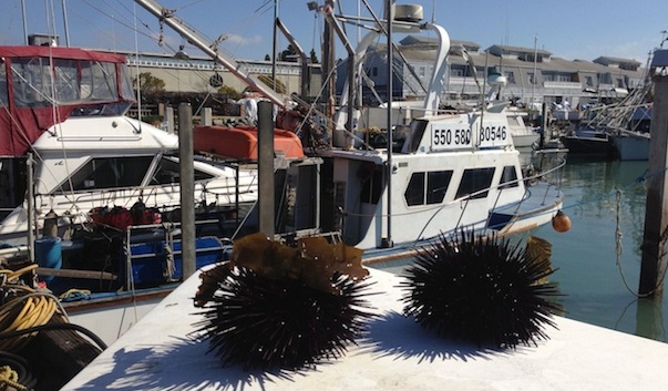 New Fishermen’s Farmers Market baits local seafood lovers