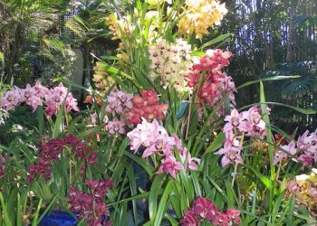 Food & Drink Blotter: Oct 2013