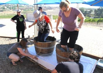 GoFit: Avoiding injuries