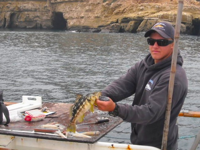 On a tagging mission