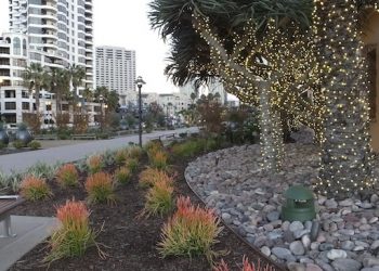 New tasting room brings wine lovers to Little Italy