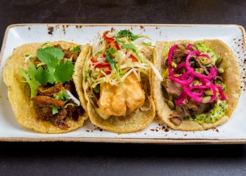 Uptown Democrats host Issa challenger