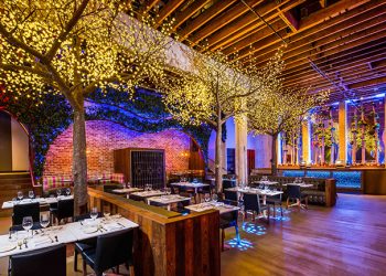 Films that tell ‘every story’