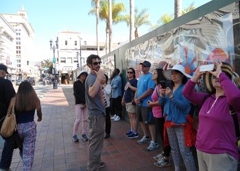 Using a training diary