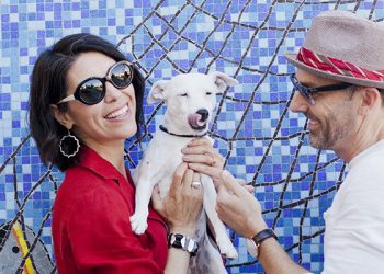 Keeping cool with EarthFair