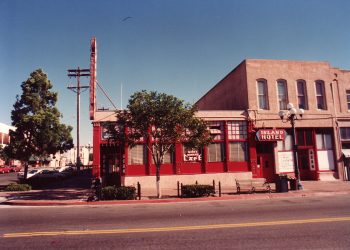 Pet of the Week – Danny Boy