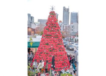 Taking a loop in a Tesla
