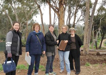 Top checkouts at San Diego libraries in 2017