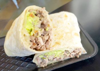 A tale of the Fox and Lion