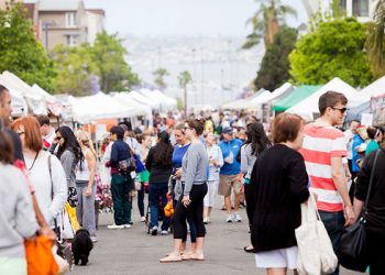 Appreciating the craft of film