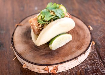 Salk Institute receives $1.5M for Alzheimer's research from NANOS