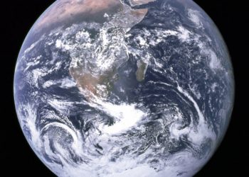 Protecting our local environment