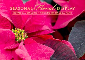 Nonprofit dental center creates hundreds of smiles for low-income seniors