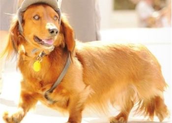 Regional outlook forum to gauge economic pulse