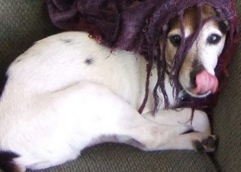 Double shots and laptops