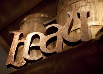 Plant Life: Brighten up your home (and your life) with foliage