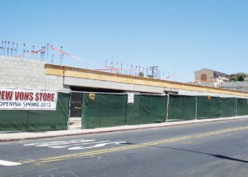 Exploring a Glass Jungle