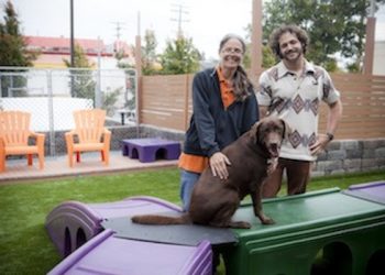 North Park Community Association seeking funding for new music initiative